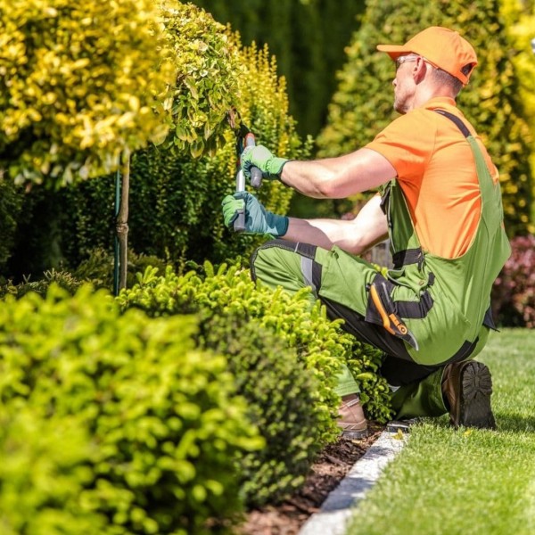 نصائح للعناية بالحدائق