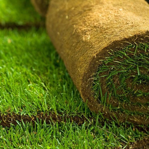 خطوات زراعة التيل الطبيعي