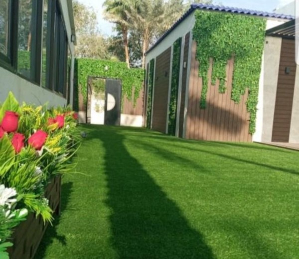أنواع العشب الجداري المتوفر في الخضرة