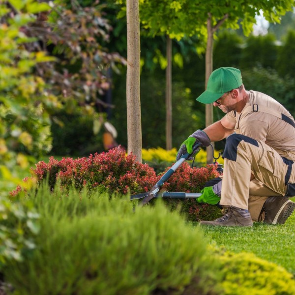 الصيانة اليومية: