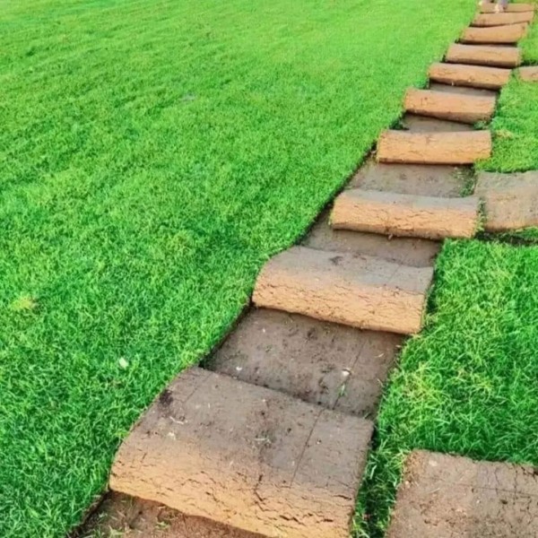 لماذا تختار الخضرة لزراعة التيل الطبيعي؟