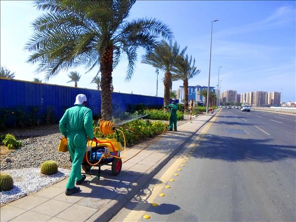 نصائح للعناية بالحدائق