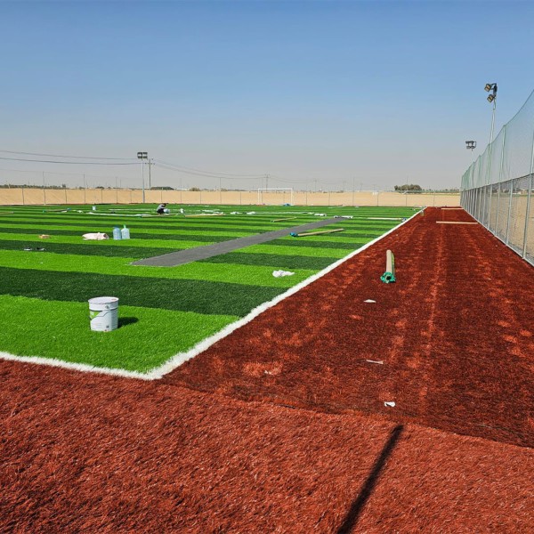 أنواع الملاعب حسب الجيل والاستخدام: